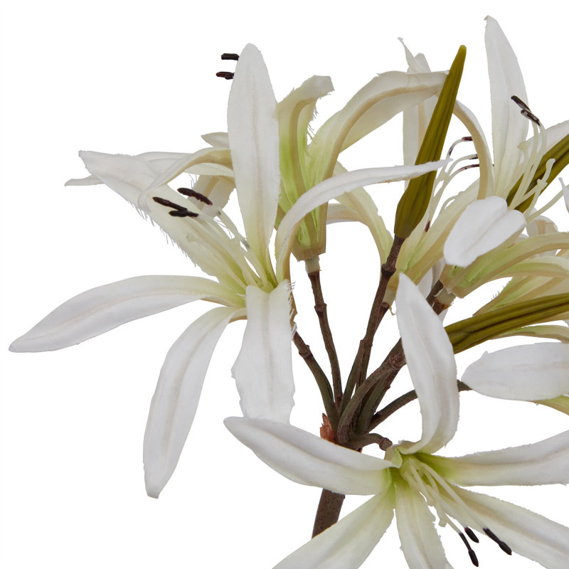 Anastasija Arrangement, White