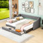 Jahmiere King Size Single Daybed with Two Drawers-784261718