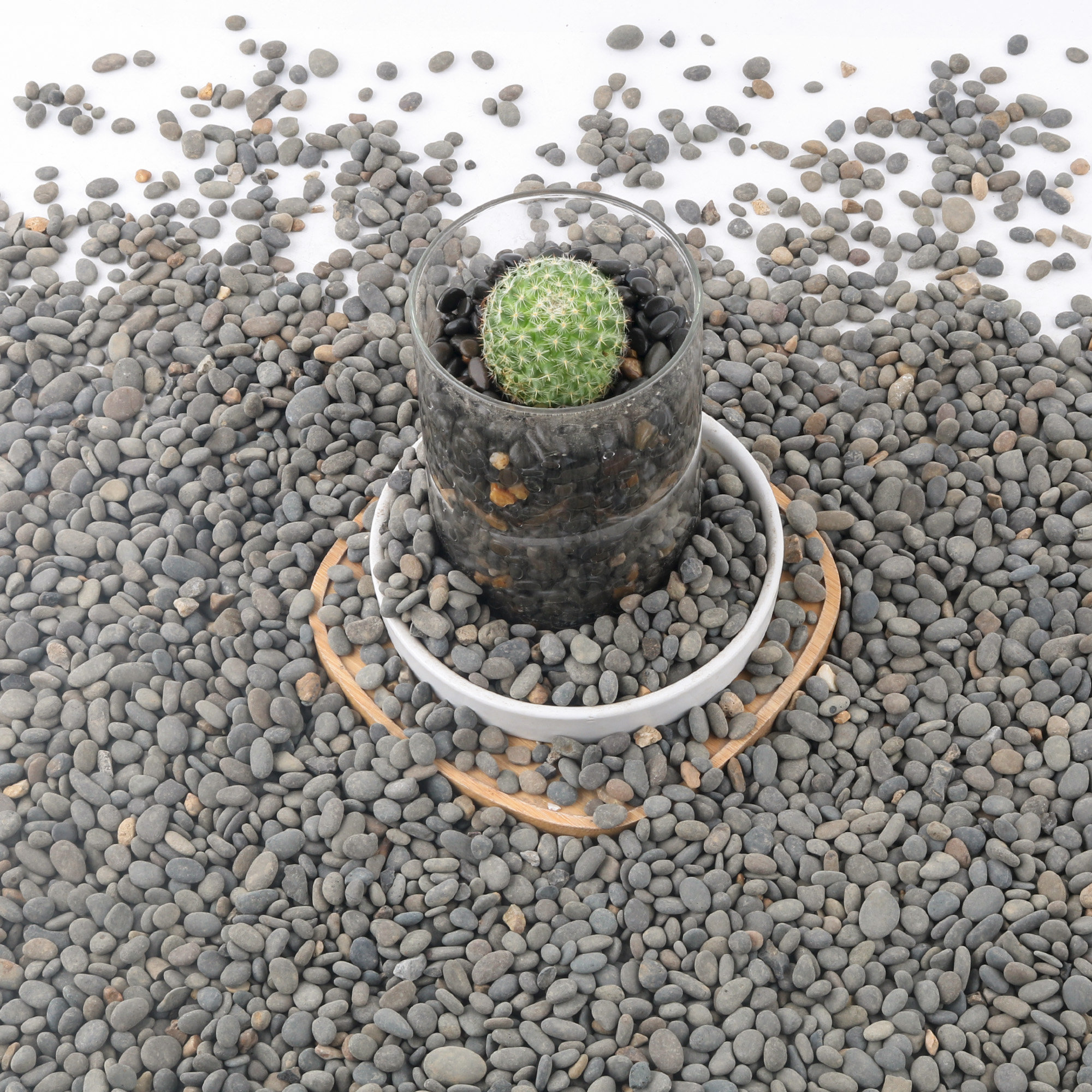 Grove Rocks August Grove® Decorative River Rocks Pebbles For Succulents, Cacti ...