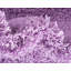 Tapis lilas Renesha-633891793