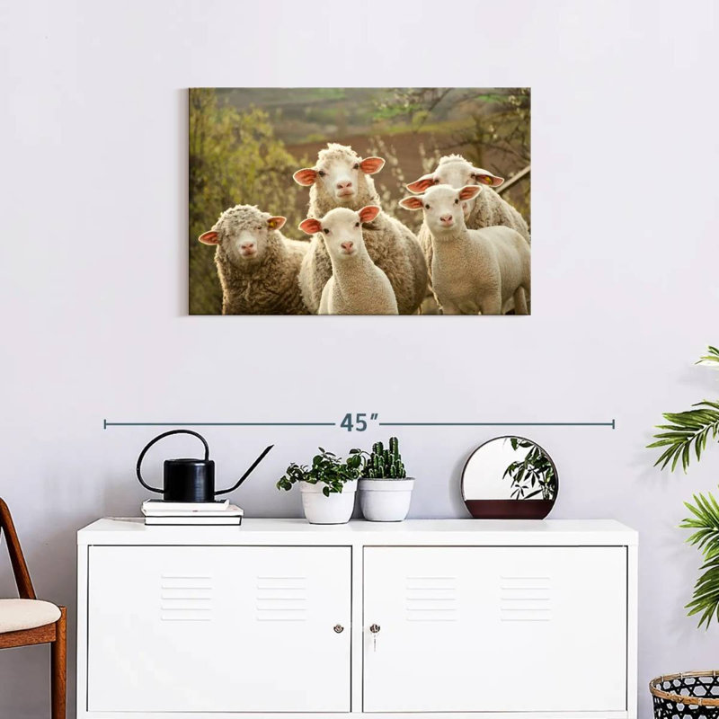 Stunned Sheep, 20" H x 30" W