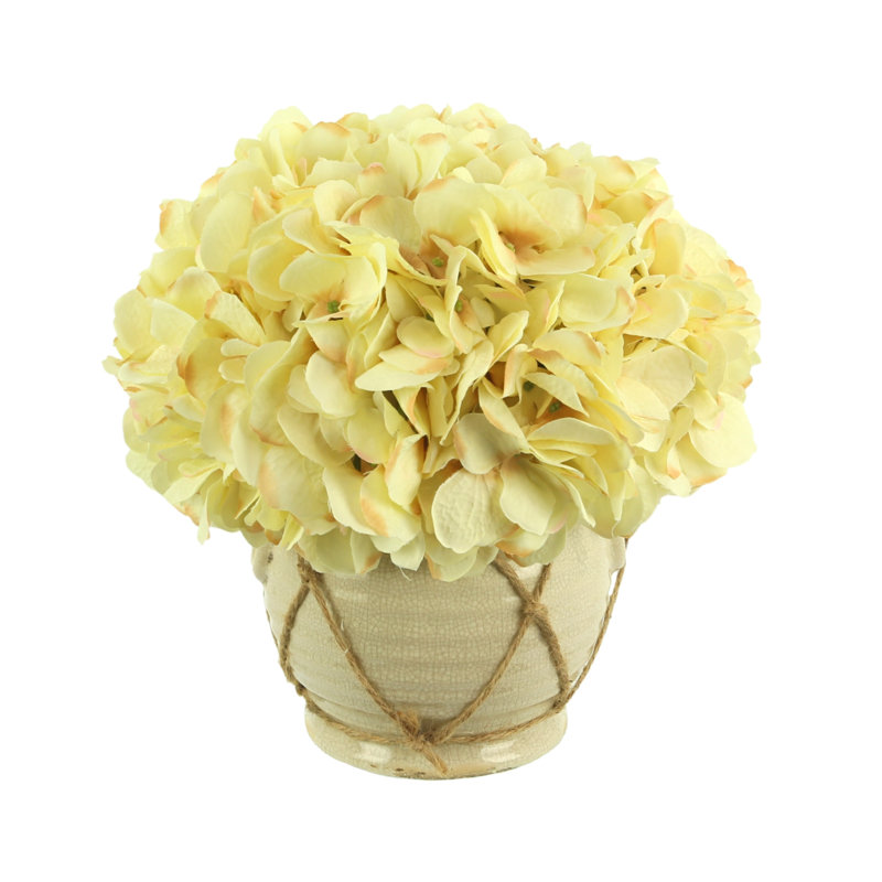 Hydrangea Arrangement in Vase