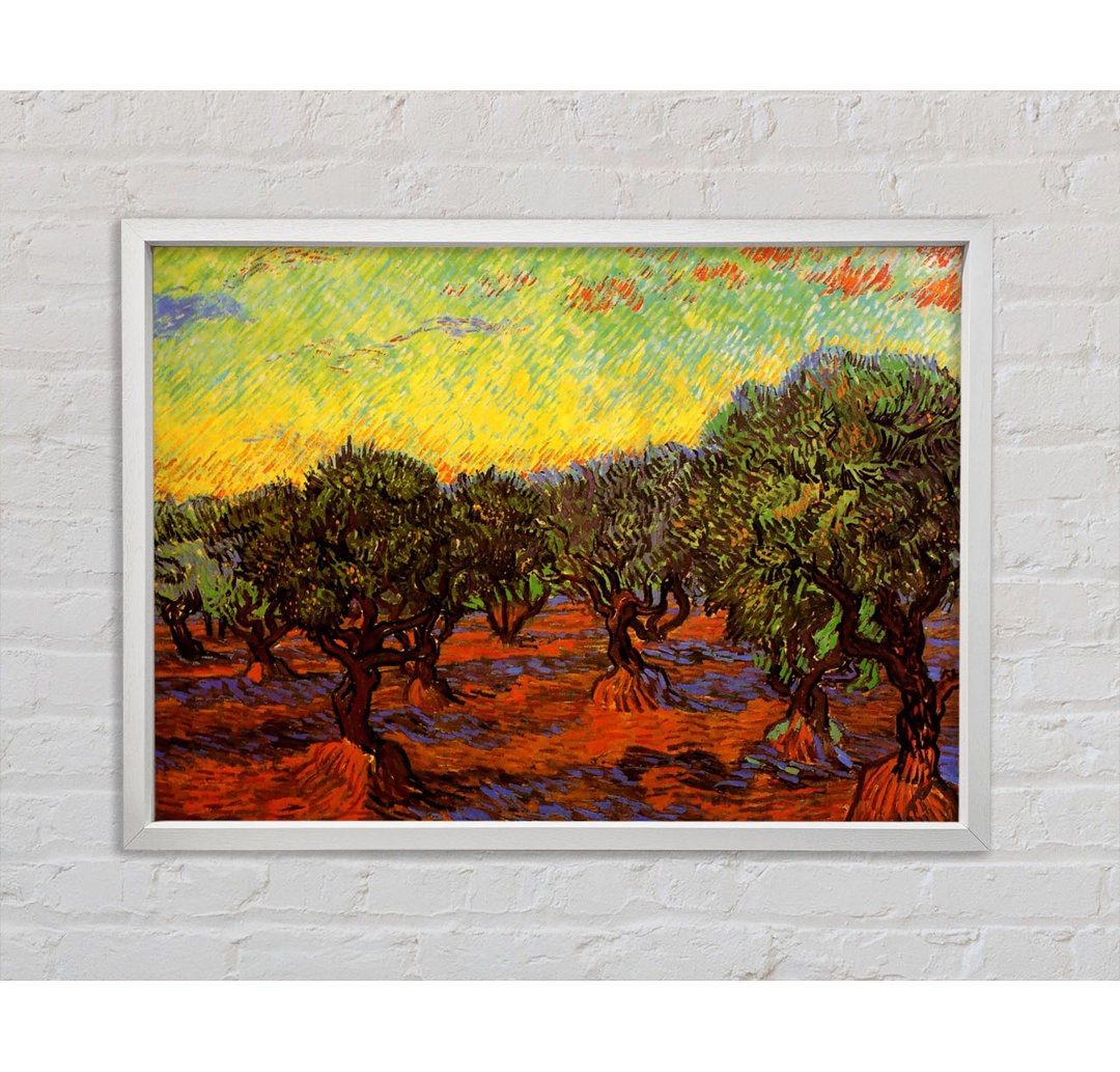 Olive Grove Orange Sky von Vincent Van Gogh - Einzelbildrahmen Kunstdrucke auf Leinwand