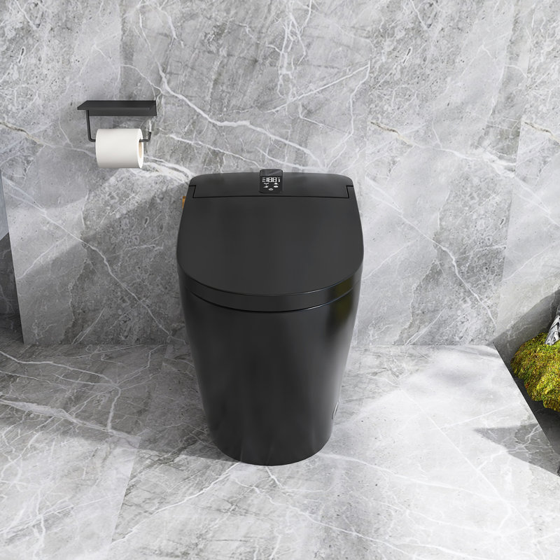 1.28 Gallons GPF Elongated Floor Mounted Back To Wall Toilets (Seat Included), Black