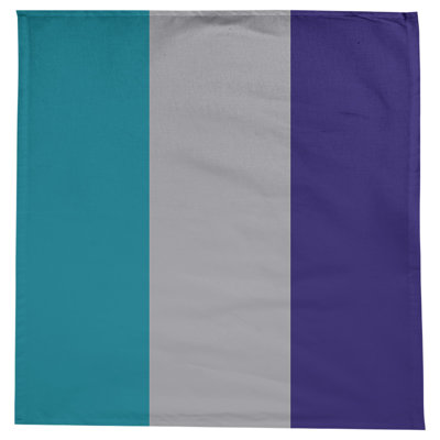 Charlotte Basketball Tablecloth