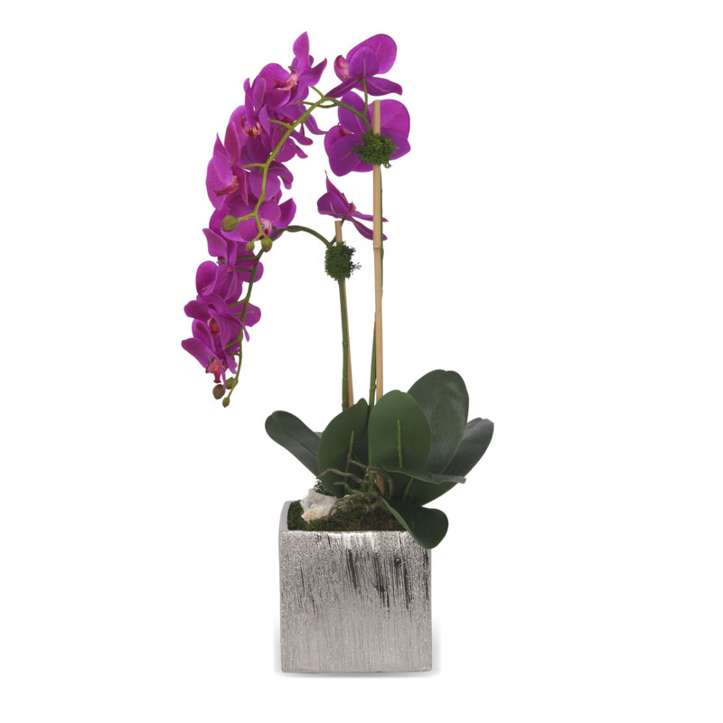 Purple and White Orchid Arrangement in Silver Ceramic Pot
