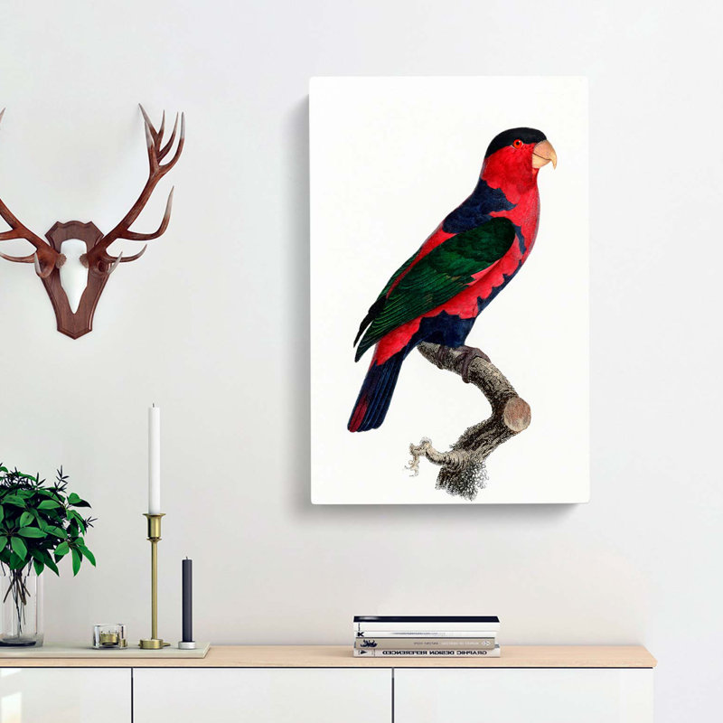 A Black-Capped Lory by F. Levaillant - Wrapped Canvas, 60cm H x 40cm W x 3cm D