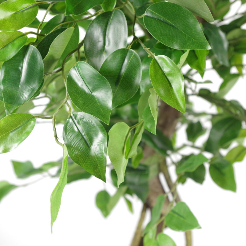Faux Ficus Tree, 120cm H x 20cm W x 20cm D, Brown