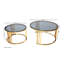 Luna Chrome Nesting Coffee Table Set-1152151252