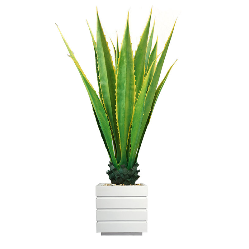 Agave d'intérieur / extérieur 54 po Panama