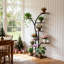 Plant Stand
