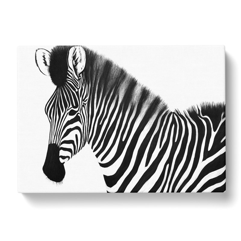 Zebra Portrait Vol.2 - Wrapped Canvas, 40cm H x 60cm W x 3cm D