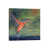 Canvas selected