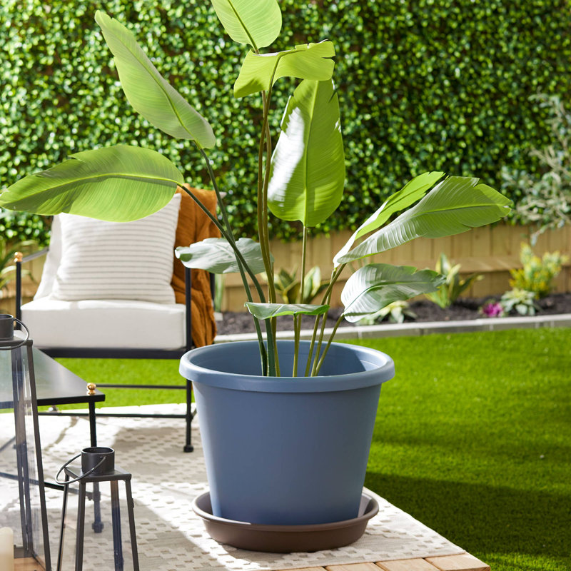 Ramyiah Pot Planter