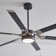 Loft LED Ceiling Fan