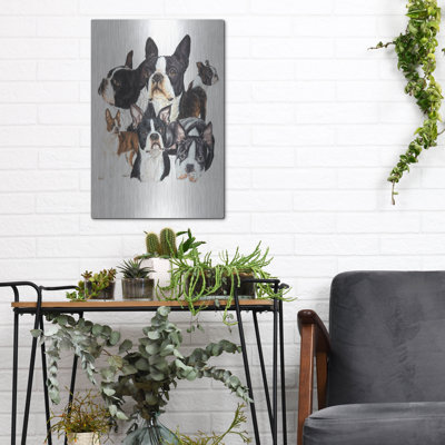 " Boston Terrier " by Barbara Keith