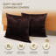 Luxurious Velvet Cushion Covers for Sofa Or Bed (Set Of 2)-564403575
