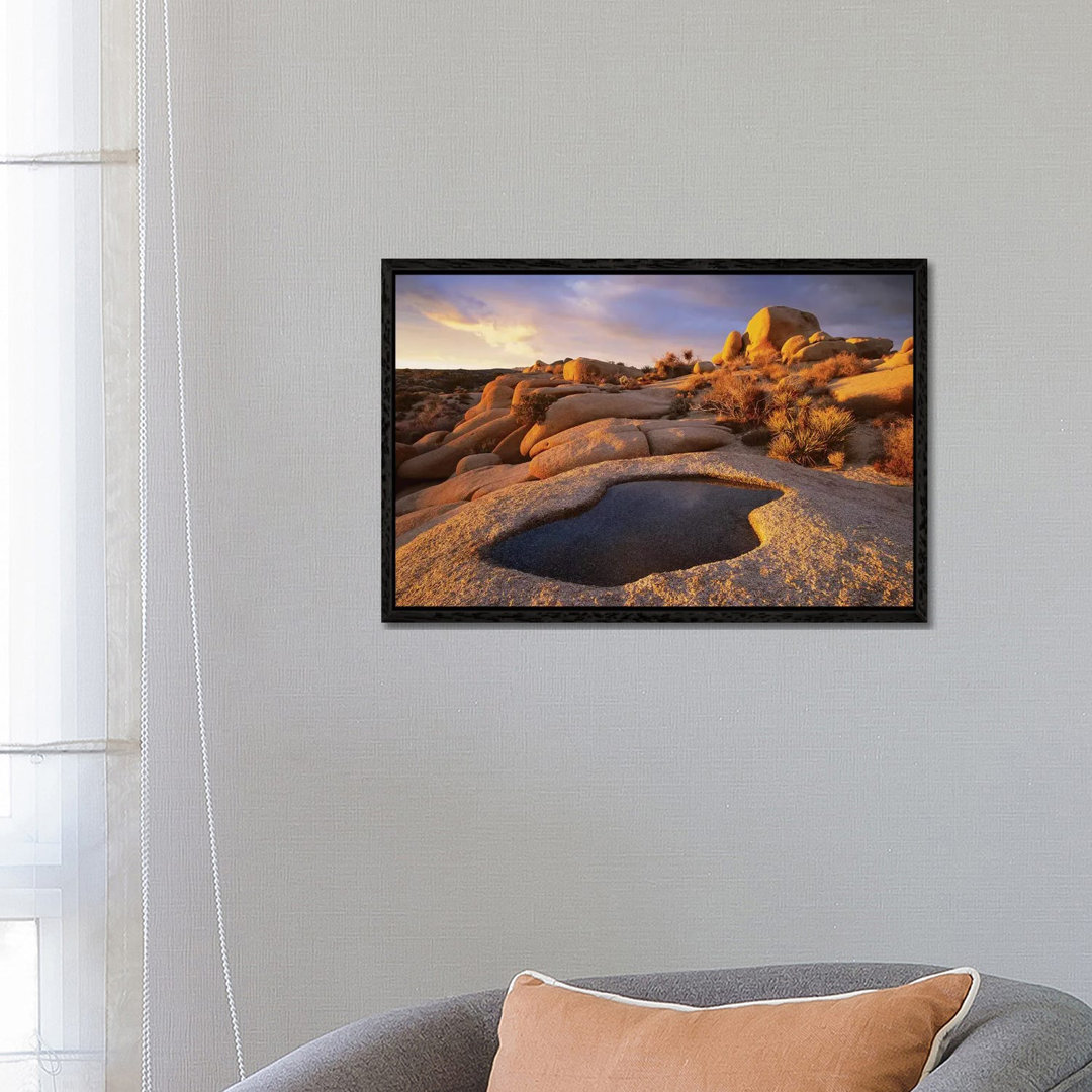 Water That Has Collected In Boulder, Joshua Tree National Park, California von Tim Fitzharris - Gallery-Wrapped Canvas G...