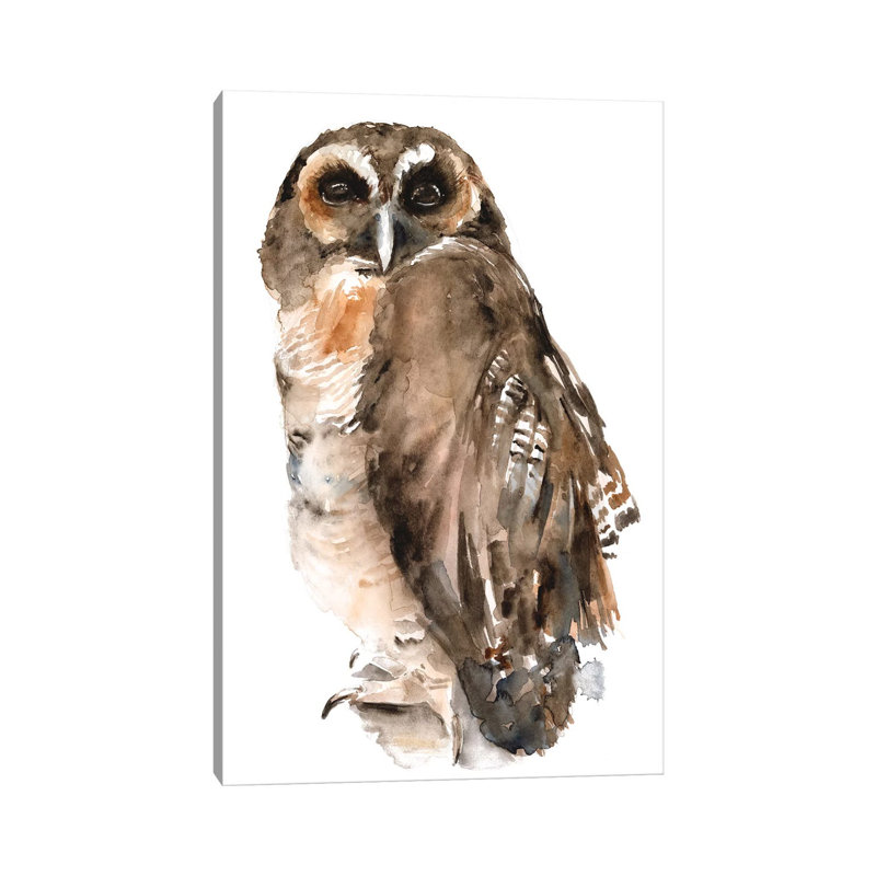Watercolour Owl I by Jennifer Paxton Parker - Wrapped Canvas Print, 30.48cm H x 20.32cm W x 1.905cm D
