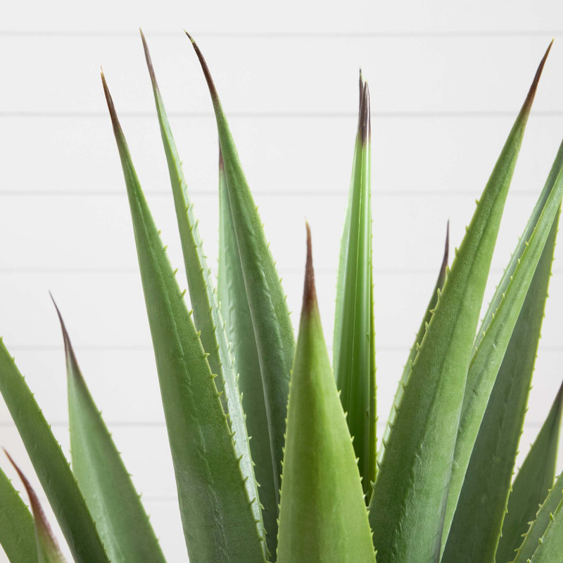 28in. Artificial Agave Plant