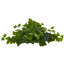 Plante de feuillage artificiel 12"