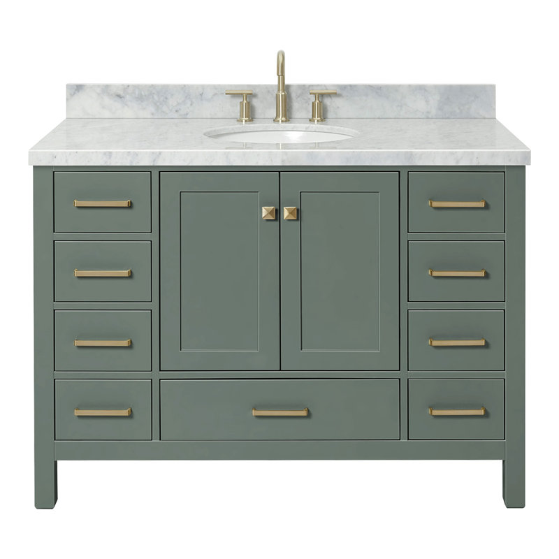 Amariani 48" Single Bathroom Vanity Set, Vintage Green
