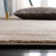 Aaishah Light Brown Area Rug