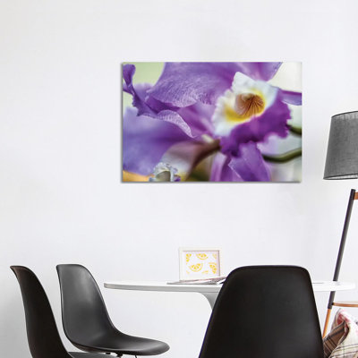 Orchid Purple Iris Flower by Glauco Meneghelli - Wrapped Canvas Print