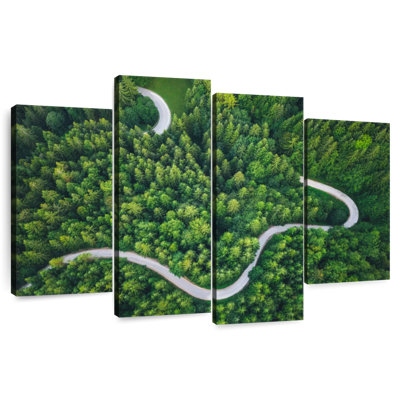 Alvord Winding Pine Forest Road