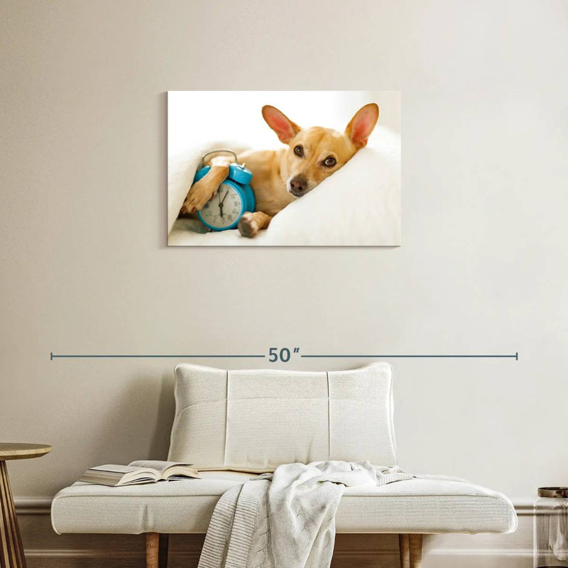 Brampt Dog Alarm, 20" H x 30" W