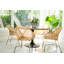Baha Dining Chair
