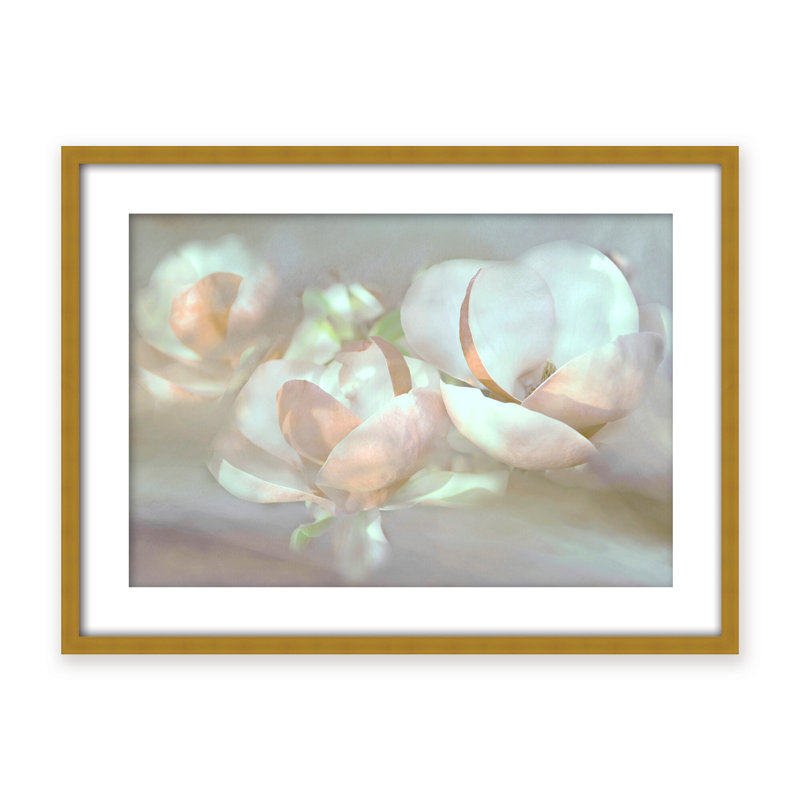 Nature Inspired Magnolia Dreams, 24" H x 30" W x 1.125" D, Framed Matted Print, White