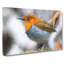 Charming Rob In Bird - Wrapped Canvas-55371036