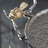 14” Decorative Silver Aluminum Tray with Gold Bird Handles, Nature-Inspired Accent Tray for Serving, Organization, or Centerpiece -918944460