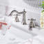 Alladdin Widespread Faucet 2-handle Bathroom Faucet with Drain Assembly-91336181