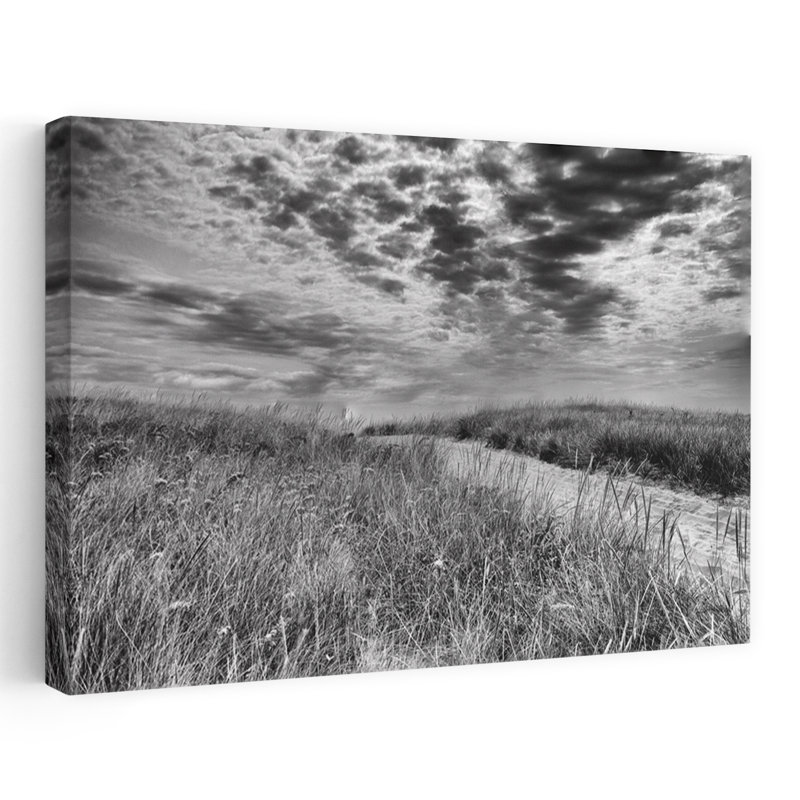 Dunes de Nantucket, paysage côtier noir et blanc, plage, Beache, H 60 po x l 40 po