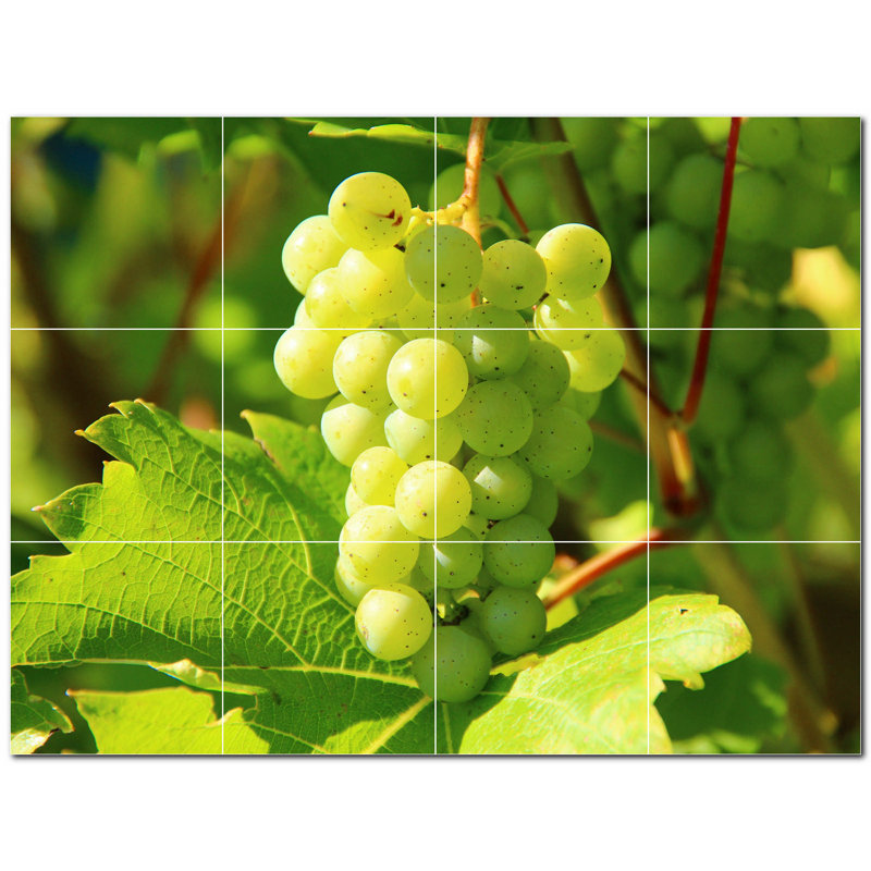 Photo de fruits 8 po x 8 po