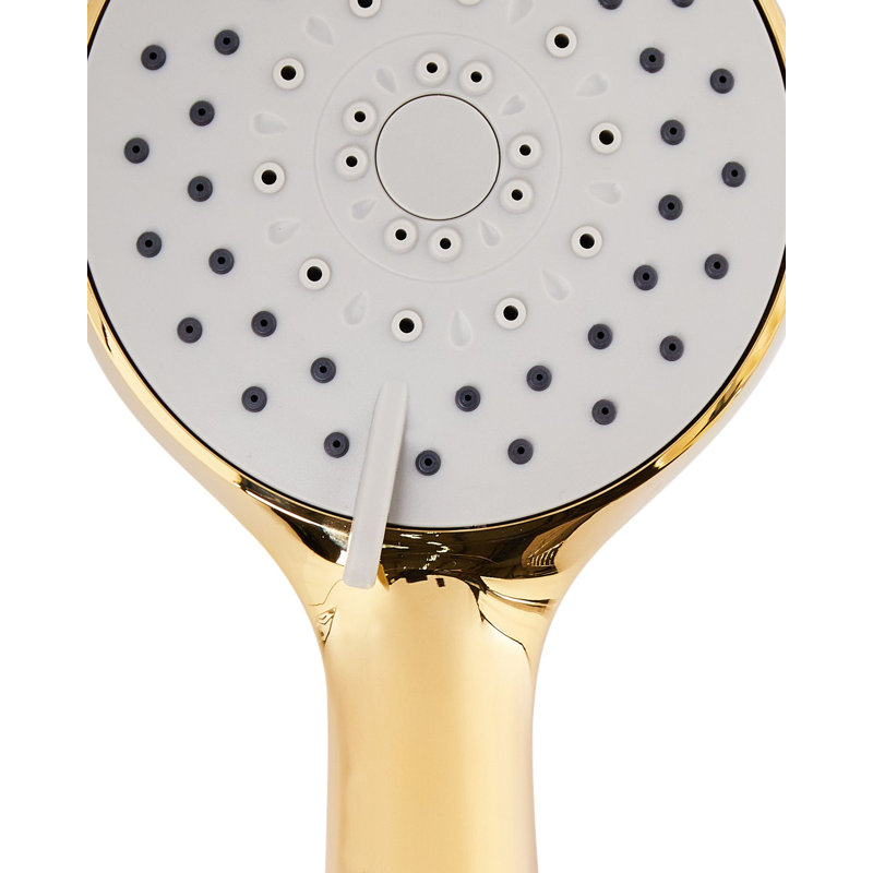 Shower Head and Hose Kit TAMUSHAL, Gold