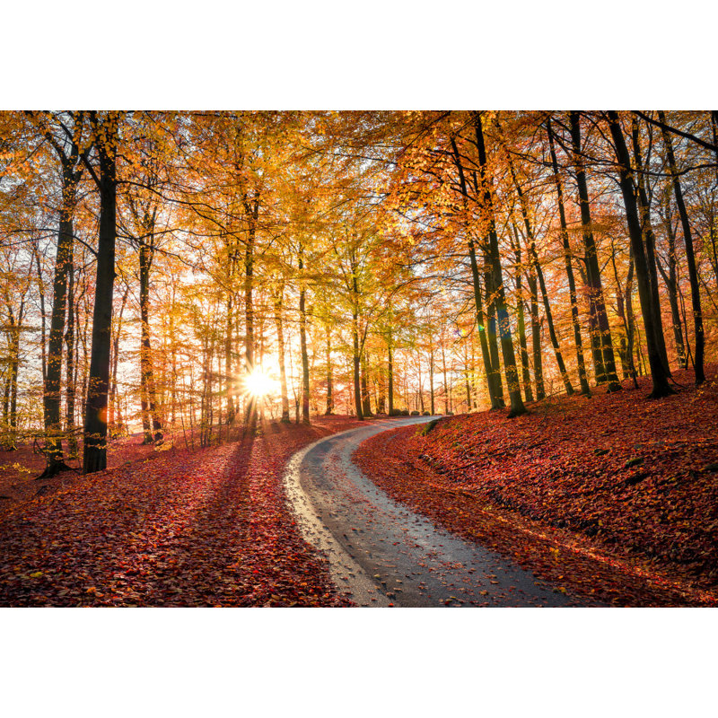 Wrapped Canvas Print, 50.8cm H x 76.2cm W