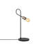 METAL BODY Desk Lamp