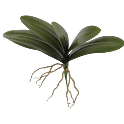 15" Phalaenopsis Leaf Cluster- 3 Pack