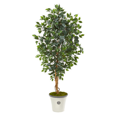 65'' Faux Ficus Tree in Planter