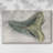 Watercolor Sharks Tooth IV -Gallery Wrapped Cavas-120806565