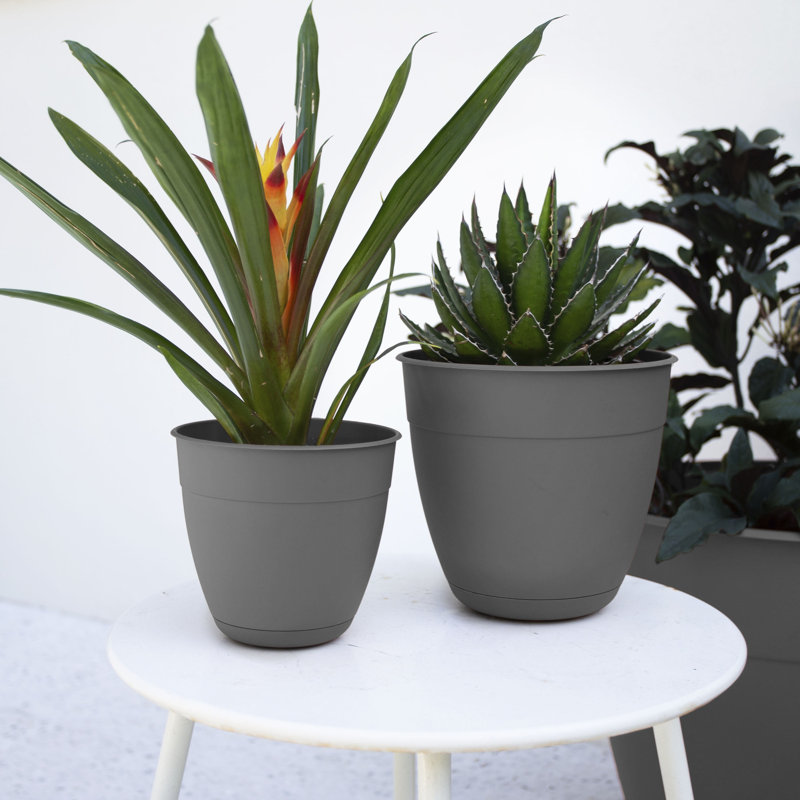 Elaena Recycled Plastic Pot Planter with c, 11" H x 12" W x 12" D, Charcoal