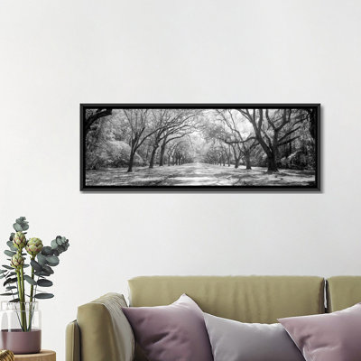 " Live Oaks And Spanish Moss Wormsloe State Historic Site Savannah " by Panoramic Images