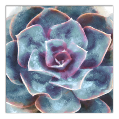 " Purple And Teal Succulent "