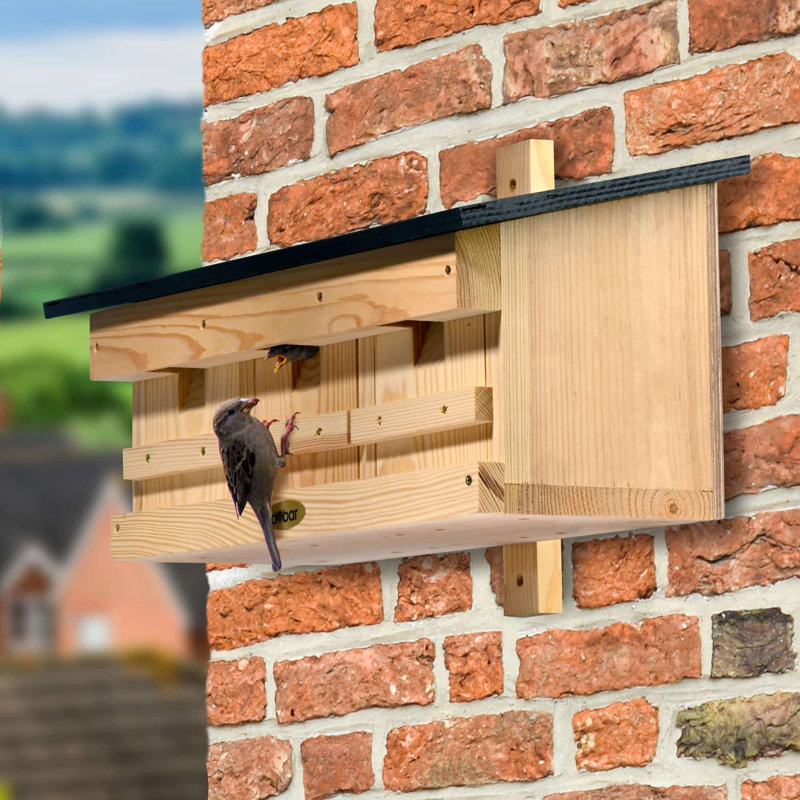 Mounted Bird House