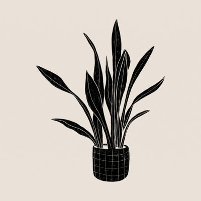 Plante serpent noir et blanc