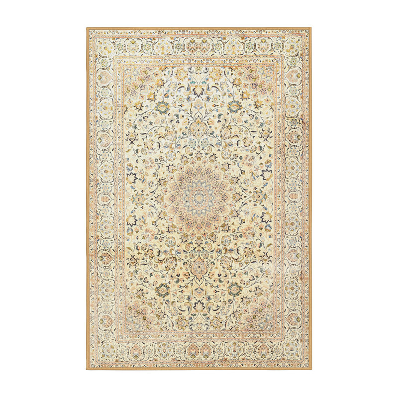 Oriental Indoor Rug, Rectangle 6' x 9'