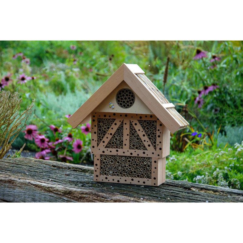 Amsha Mounted Bumblebee House